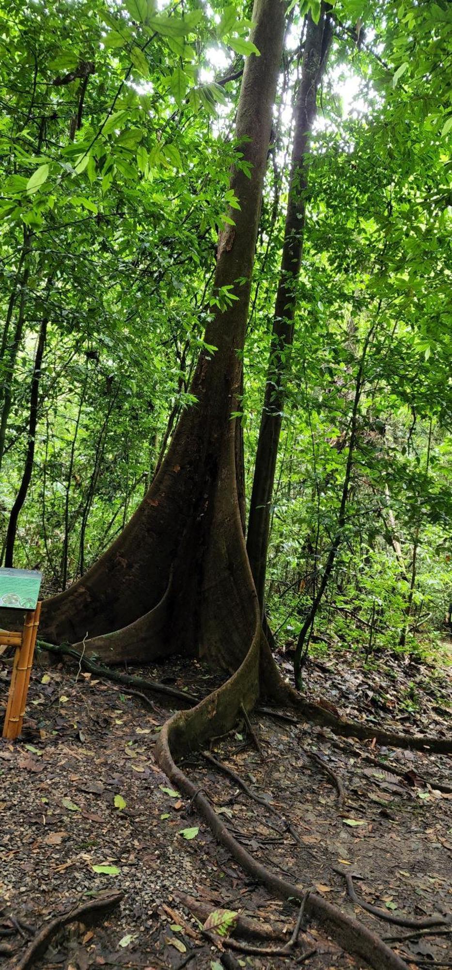 مبيت وإفطار Khao Sok National Park Khaosok Happy House المظهر الخارجي الصورة