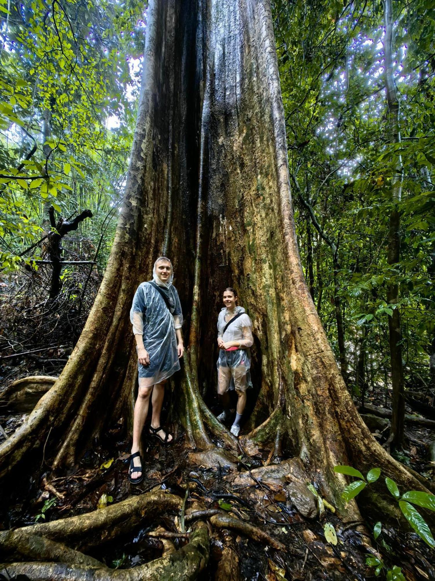 مبيت وإفطار Khao Sok National Park Khaosok Happy House المظهر الخارجي الصورة